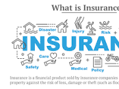The seven Principles of Insurance