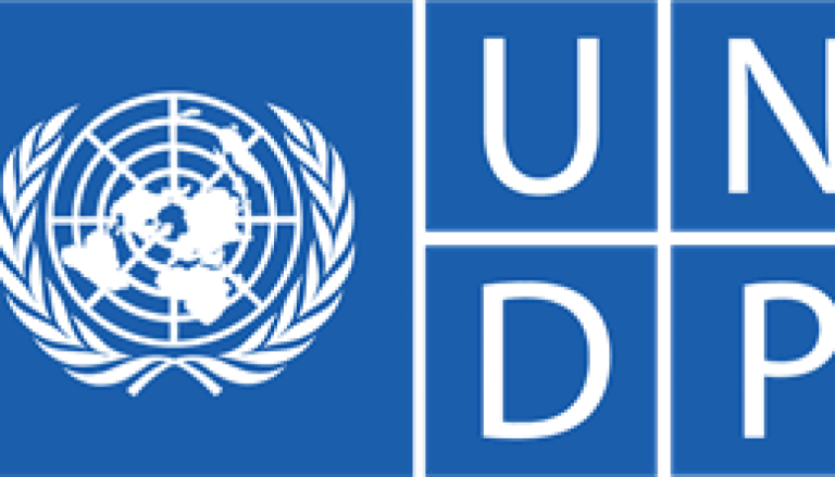 Job vacancy positions of driving at UNDP