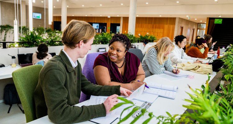 2025 Wageningen University Scholarships for African Students: Apply Now